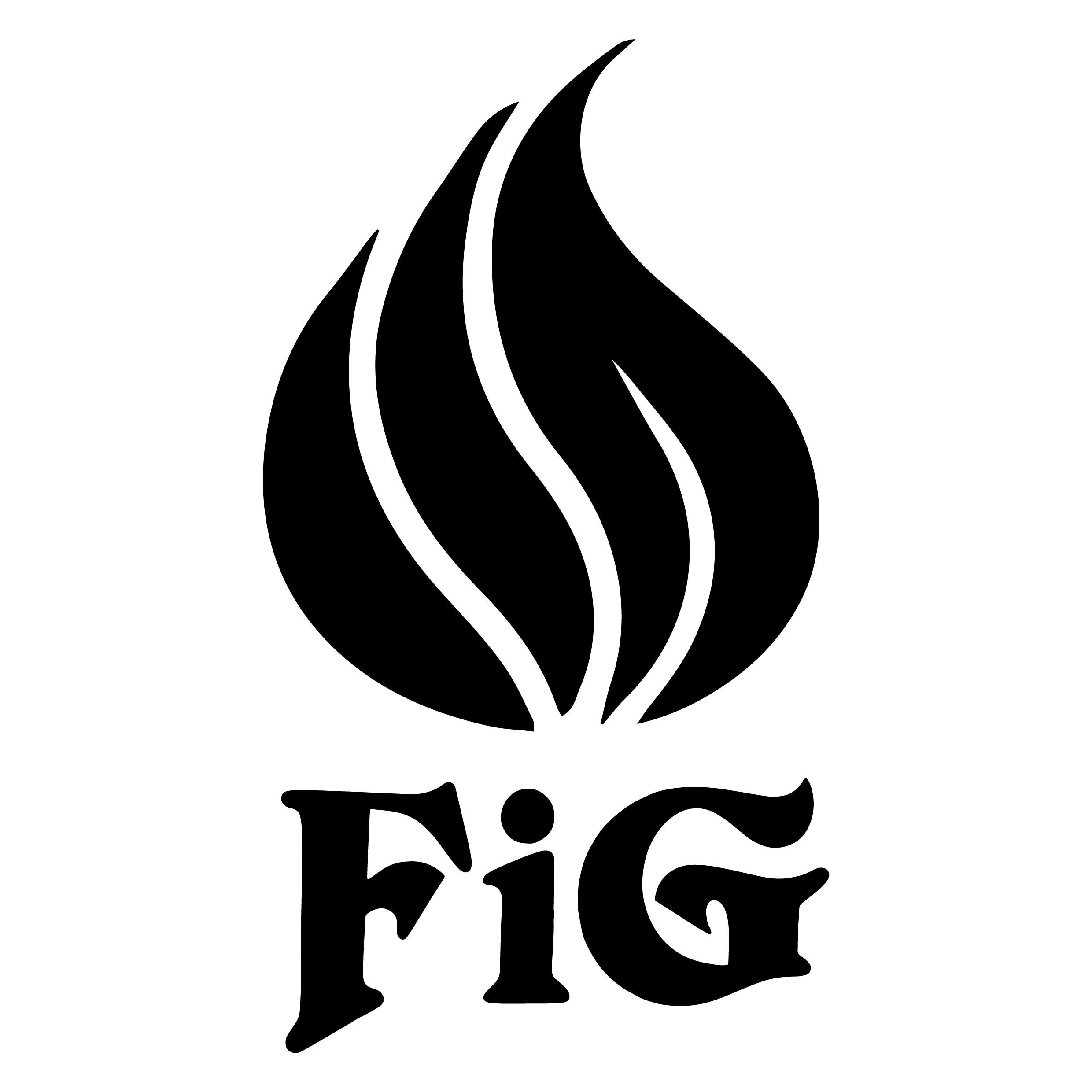 株式会社FiG