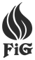 株式会社FiG