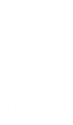 株式会社FiG